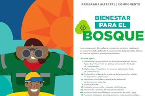 Programa Altepetl