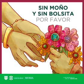 Regalos sin bolsa