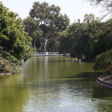 Sedema trabaja con UAM, UNAM y Conabio para mejorar, sanear y restaurar lagos en la Segunda Sección del Bosque de Chapultepec